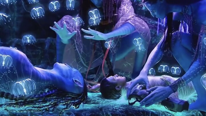 ดูหนังไซไฟระดับตำนาน “อวตาร” จบในคราวเดียว!