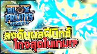 Blox Fruits UPDATE 17 (Part 2): ลงดันผลตื่นฟีนิกซ์! รีวิวผลฟีนิกซ์ตื่นที่โกงสุดๆพร้อมกับสกิลพิเศษ!?