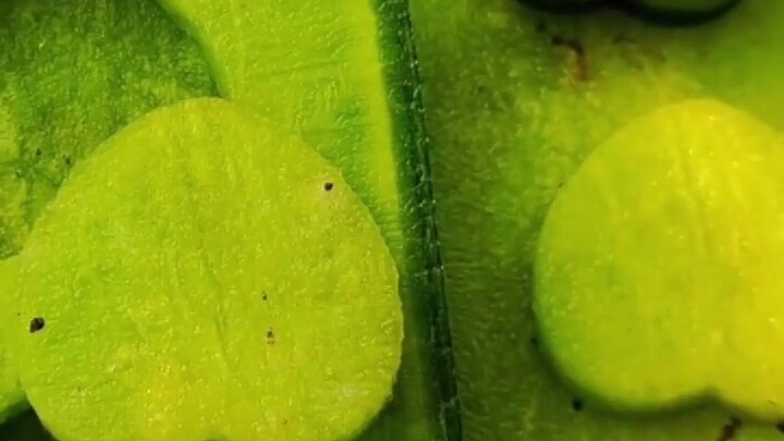 Ba năm một triệu