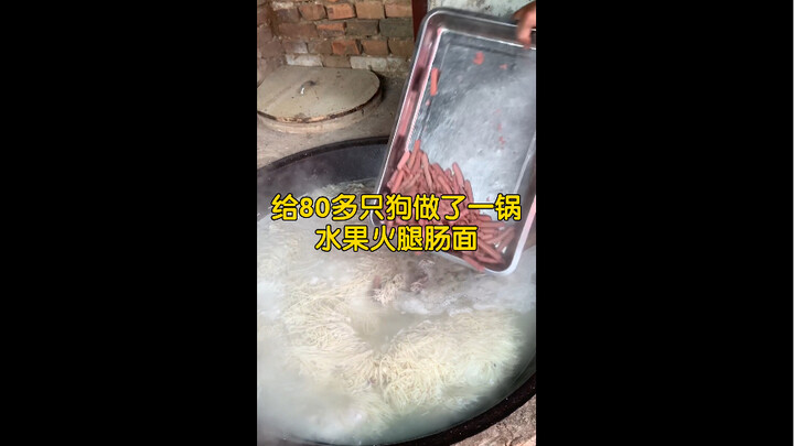 Membuat satu panci mie ham buah untuk lebih dari 80 ekor anjing jalanan
