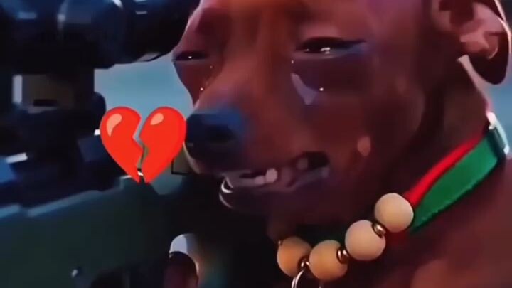 heat love 💔💔