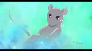 Fruits Basket AMV-Who Do You Love (Chainsmokers ft. 5 Seconds Of Summer)