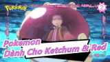 Pokemon |AMV - Dành cho Ketchum & Red_2