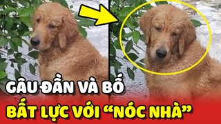 Gâu Đần và Bố BẤT LỰC với NÓC NHÀ cấm không cho đi chơi 😂 | Yêu Lu