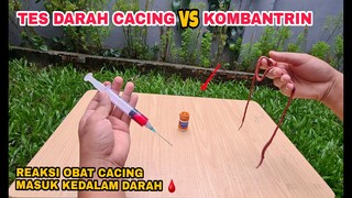 EKSPERIMEN: OBAT CACING vs DARAH CACING