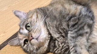 放假了嘿嘿嘿嘿嘿嘿嘿嘿来亲一个