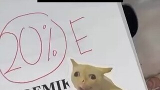 老師：收集多年的貓咪贴終於派上用場了