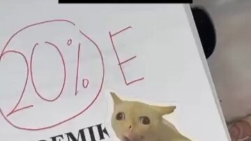 المعلم: أخيرًا أصبحت ملصقات القطط التي جمعتها لسنوات مفيدة.