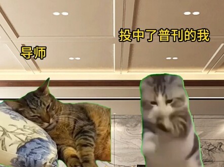 Giáo viên hướng dẫn nhìn thấy cấp độ bài báo tôi đăng, lập tức thay đổi sắc mặt.