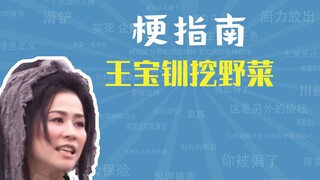 Meme apa yang menceritakan Wang Baochuan yang menggali sayuran liar? [Panduan Meme]