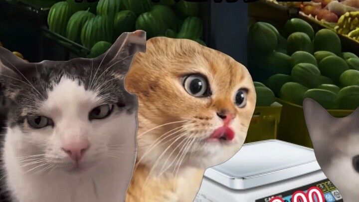 Không ai có lương tâm