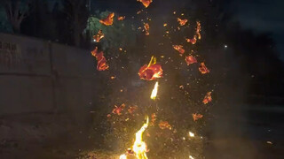 漂亮，转账成功