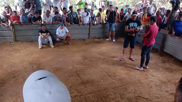 huli week event. draw