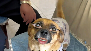 我骂的很脏，但你真的很装