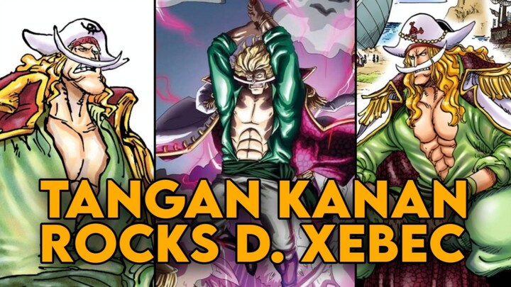WAKIL KAPTEN BAJAK LAUT ROCKS