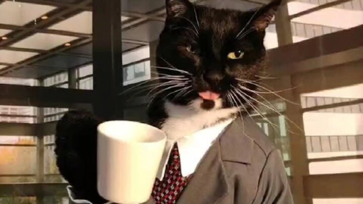 กาแฟสักแก้วมั้ยคับ