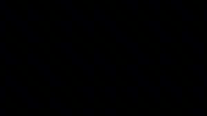 ┌(・。・)┘♪