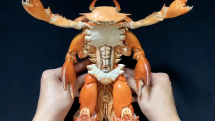 "แมงกะพรุนหุ่นยนต์ที่ทำจาก*งปู"