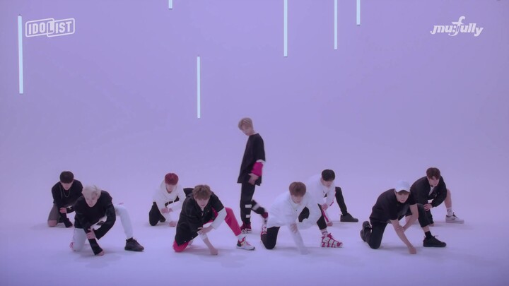190408【Stray Kids】MIROH mu：fully版练习室