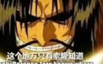 Only Zoro knows where ONE PIECE is buried!