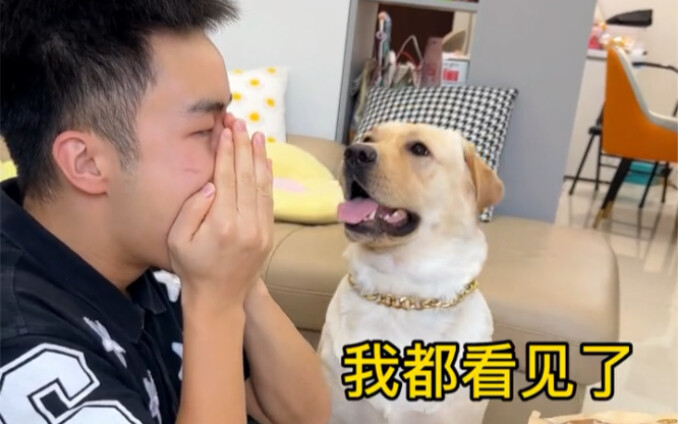 Sejak punya anjing, mau makan sesuatu diam-diam saja sudah sangat sulit