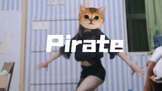 【Summer】Pirate Dormitory Dance