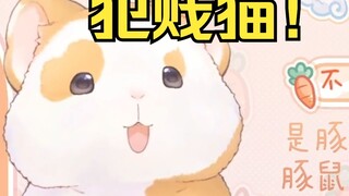 The kindhearted Dadagua met the scheming cat! [Hua Ling Pian]