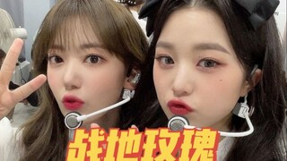 Cãi cọ gì chứ? Đến mà cắn! Đừng bỏ lỡ "Hoa hồng chiến địa" 『Đông Du, Nguyên Anh, JENLISA, Chân Chí」