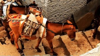 The next episode of Snow Girl is here. My friends have been waiting for a long time. [Confidence]