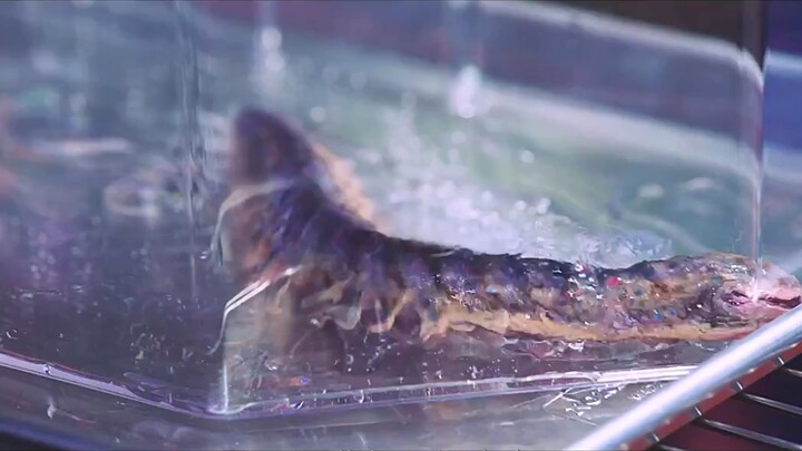 วิธีลดน้ำหนักแบบไม่ต้องออกกำลังกาย ไม่ต้องอดอาหาร คุณกล้าลองไหม?