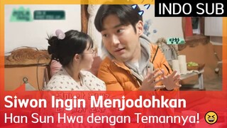 Siwon Ingin Menjodohkan Han Sun Hwa dengan Temannya! 😆 #CityGirlsOnTheClimb 🇮🇩INDO SUB🇮🇩