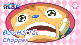 [Đảo Hải Tặc] Chopper: Luffy, Tớ sẽ trở thành quái vật thật thụ vì cậu_1