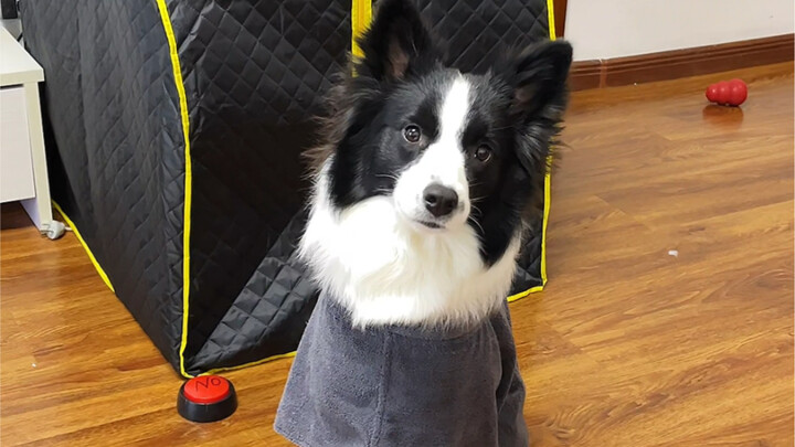 ก่อนหน้านี้มันบอกว่ามันรู้ตัวว่าเป็นหมา ฉันเลยคิดว่ามันกำลังหลอกฉันอยู่…