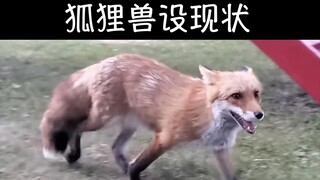 福瑞梗图（第七期）