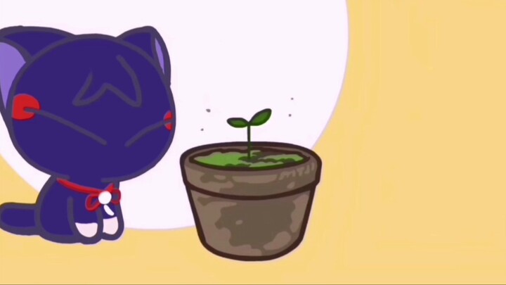 Harta karun Mandrill! Harta karun yang lepas! Kamu Bao! Beri aku rua rua!