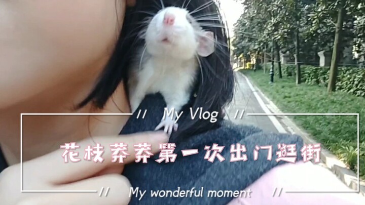 فِلُوغ 01 | مونغ مونغ فأر الزهور الصغير ووحش ذو القدمين يتجولان في سوق الزهور والطيور