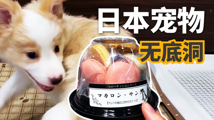 ร้านขายสัตว์เลี้ยงในญี่ปุ่นมี【อาหารสุนัข】หลากหลายจริงๆ