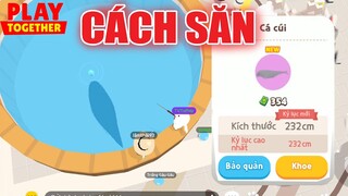 Khung Giờ Săn Cá Cúi Trong Mall Chuẩn Nhất, TVT Dính Siêu Phẩm VM Kìa | Play Together