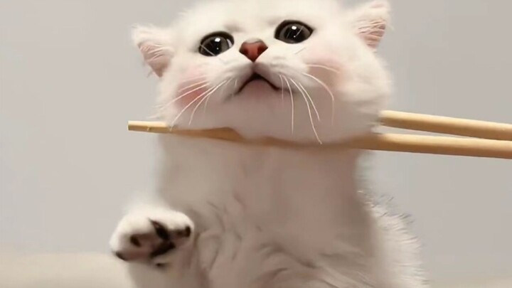 “One bite, one little milk kitten!”