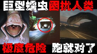 [Cacing Jembatan] Di balik penampilannya yang konyol, tersembunyi mulut berdarah. Jangan mudah perca