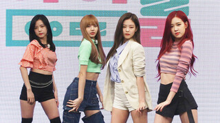 [BLACKPINK] Tuyển tập những hành động "khó hiểu, hài hước"