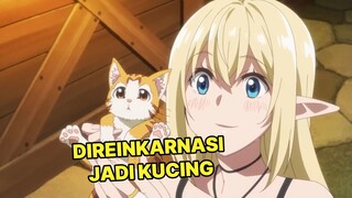 Bereinkarnasi jadi Kucing, tapi dipelihara Elf SUS 😨