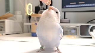 在路线规划方面我们对标的是高●地图✊