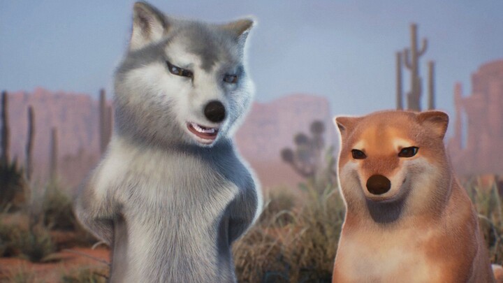 Chó sói nổi tiếng trên mạng và chó hoang