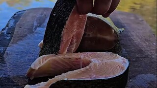 طهي سمك السلمون المرقط الأحمر مع البيتزا على ضفة النهر