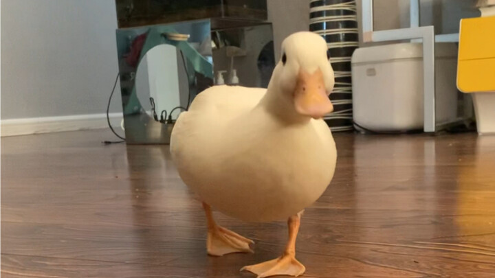 It's moving back and forth, swaying left and right