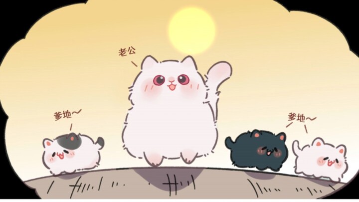 His Clumsy Cat