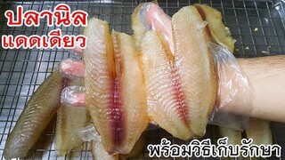 ปลานิลแดดเดียว เนื้อแน่น พร้อมวิธีเก็บรักษา