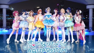 【LoveLive】九个老婆陪你一起去水族馆约会♥ 恋爱水族馆
