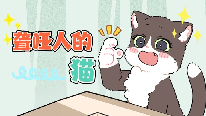 สิ่งแรกที่แมวน้อยทำหลังเรียนรู้ภาษามือก็คือ...